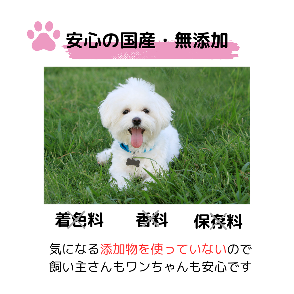 無添加　国産　鶏胸チーズチップス